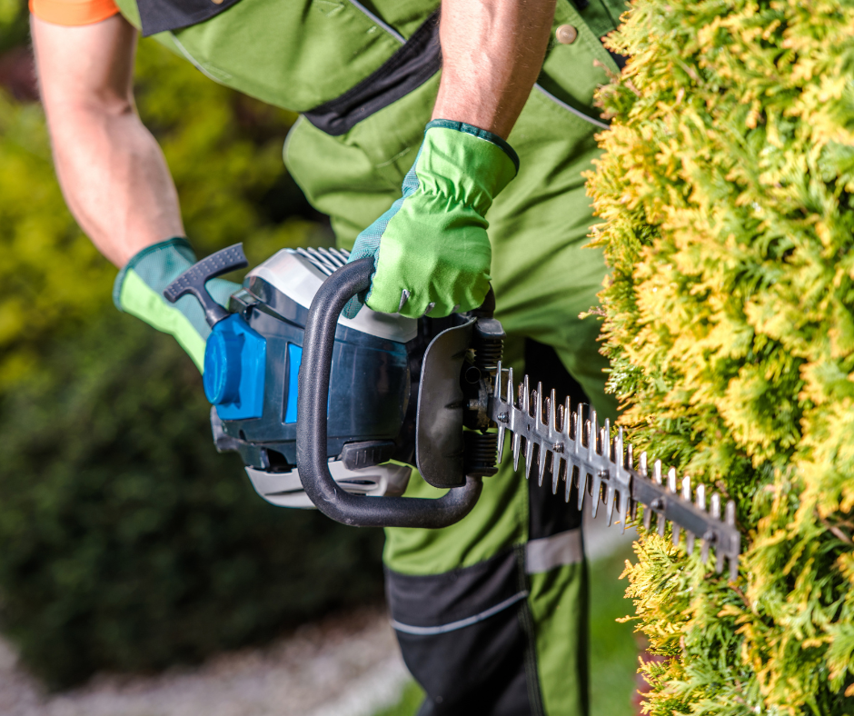 Hedge Cutting Cardiff