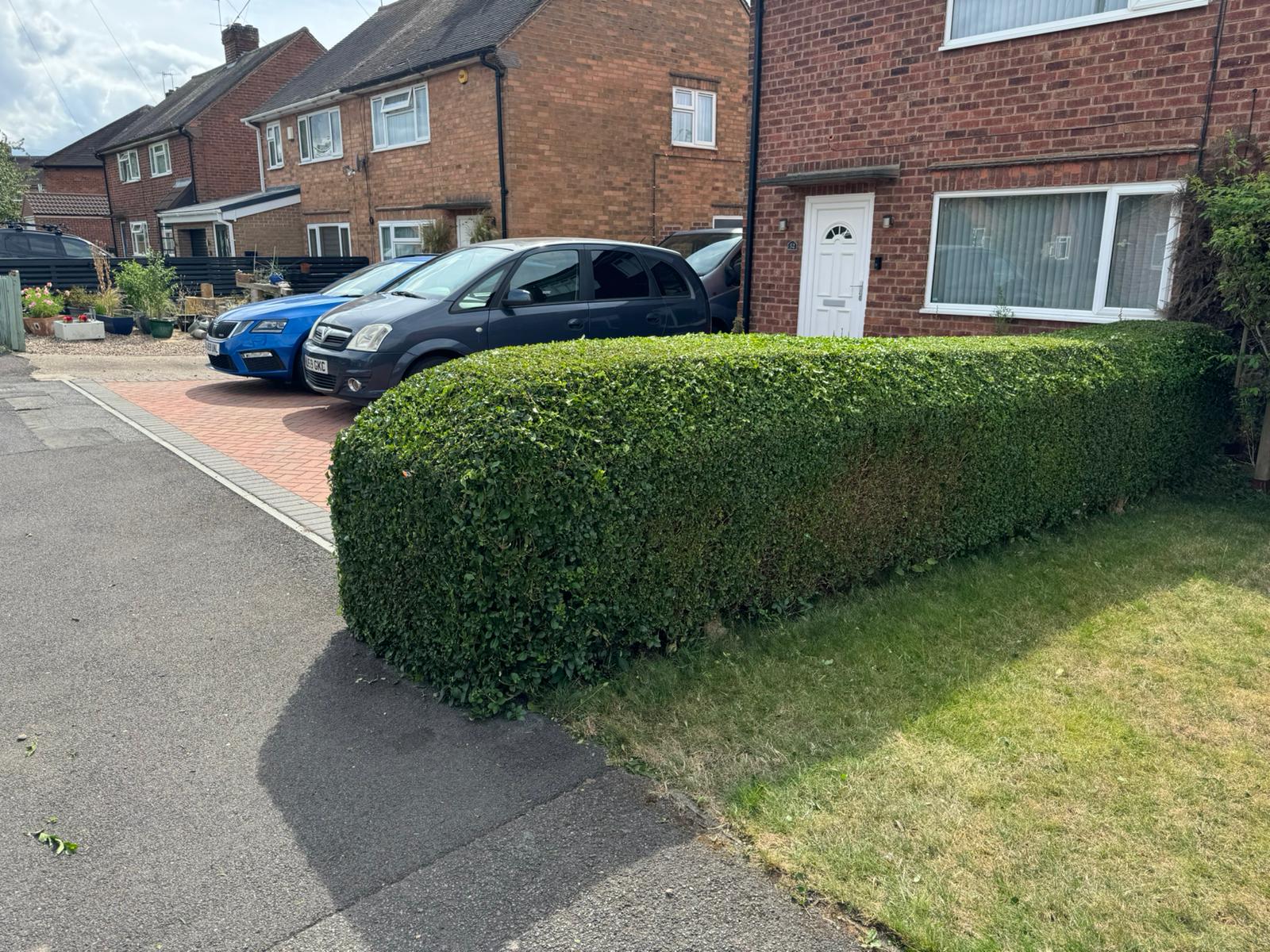 Hedge maintenance Cardiff